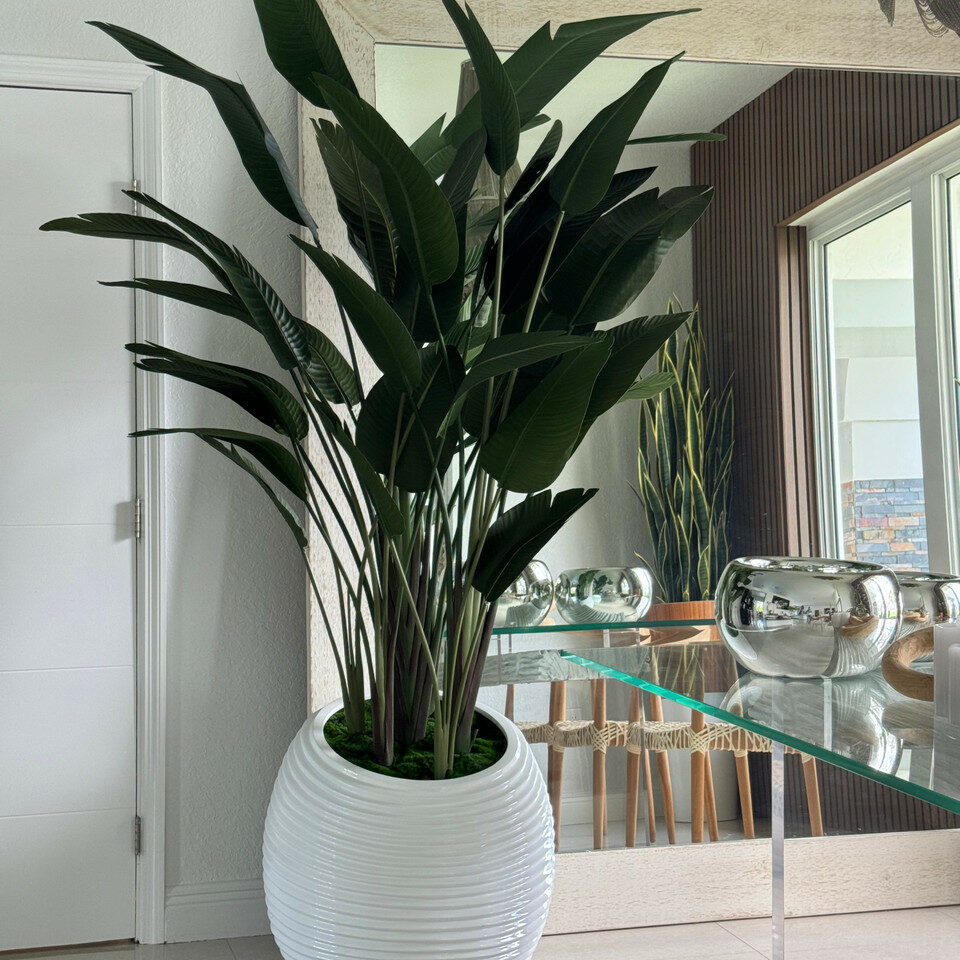 Oiseau de paradis dans vase blanc en spirale