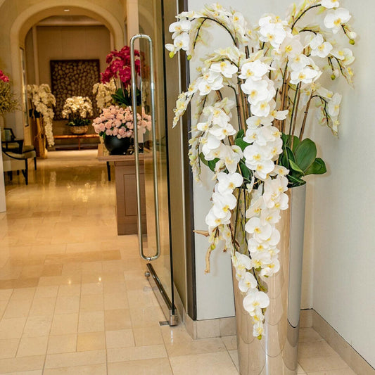 Orchidées Phalaenopsis en cascade sur cône conique en acier inoxydable poli
