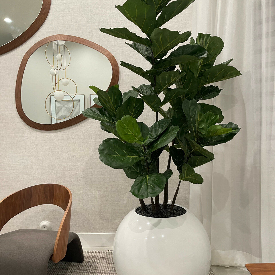 Vase sphérique blanc 76 cm avec figuier lyre