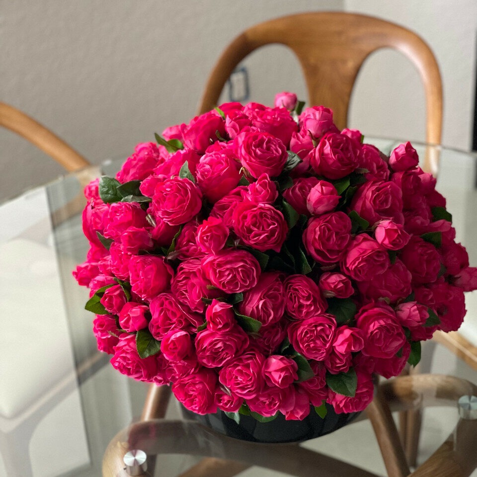 Roses anglaises rose foncé dans vase en verre noir