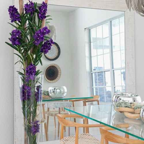 Orchidées Vanda violettes et bois flotté dans cylindre en verre conique