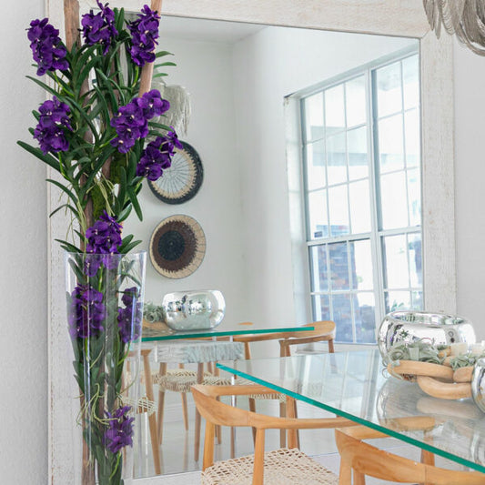Orchidées Vanda violettes et bois flotté dans cylindre en verre conique