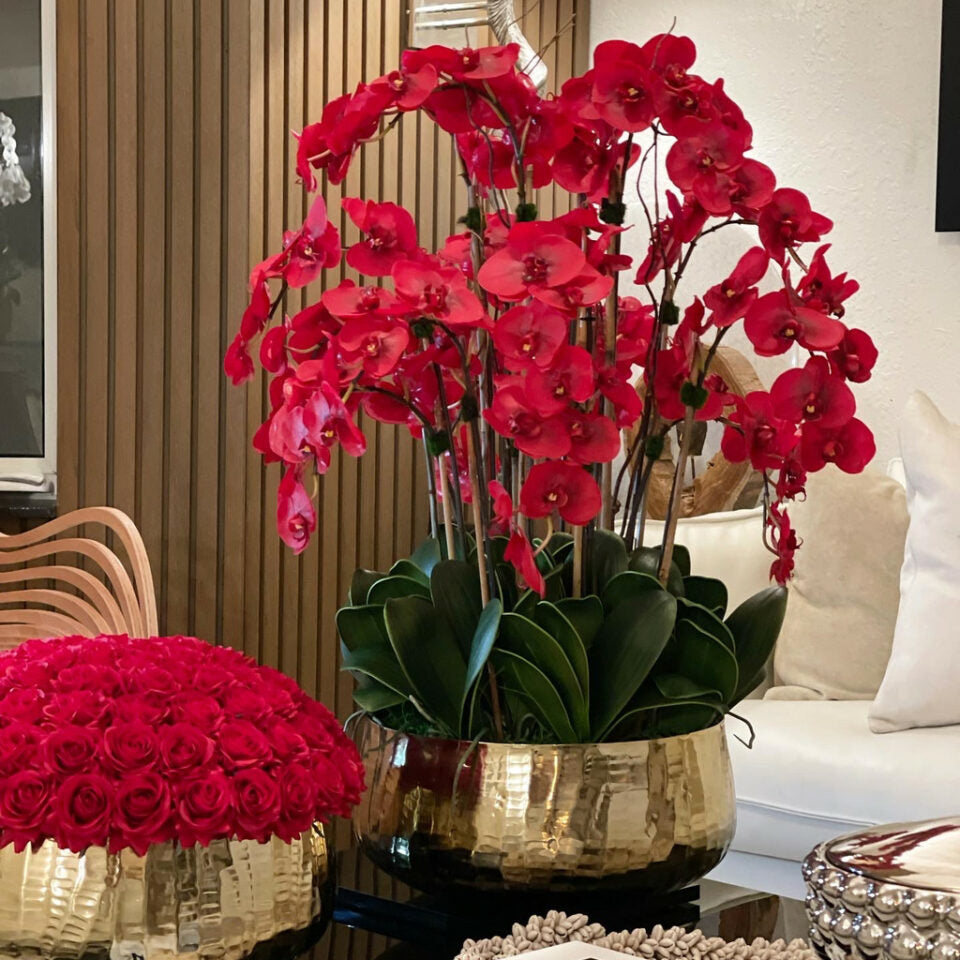 Orchidées Phalaenopsis rouges dans pot doré moyen