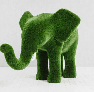 Topiaire éléphant moyen