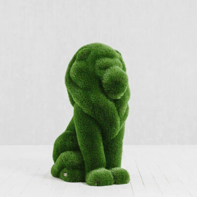 Topiaire Lion Assis
