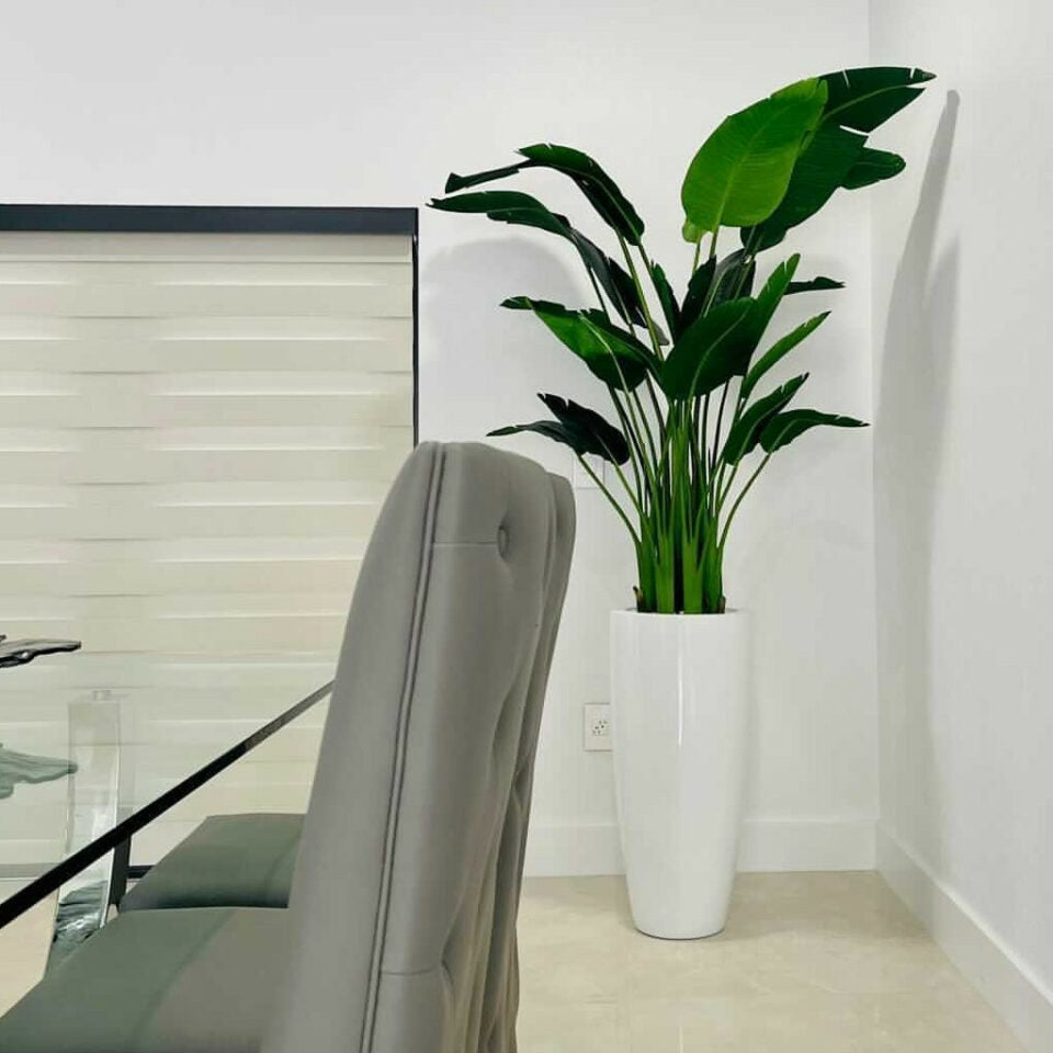 Oiseau de paradis 2,13 m avec pot Dax L