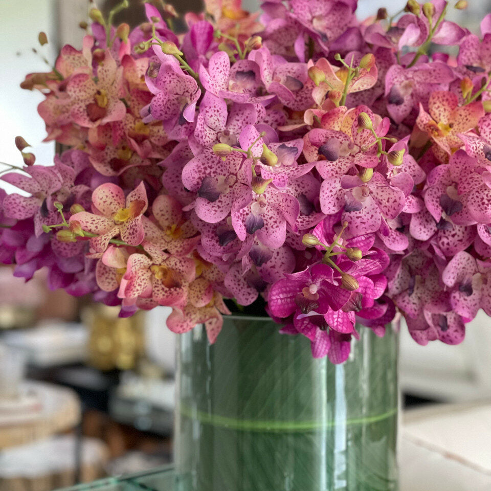 Orchidées Mokara Mixtes dans Grand Cylindre Rota