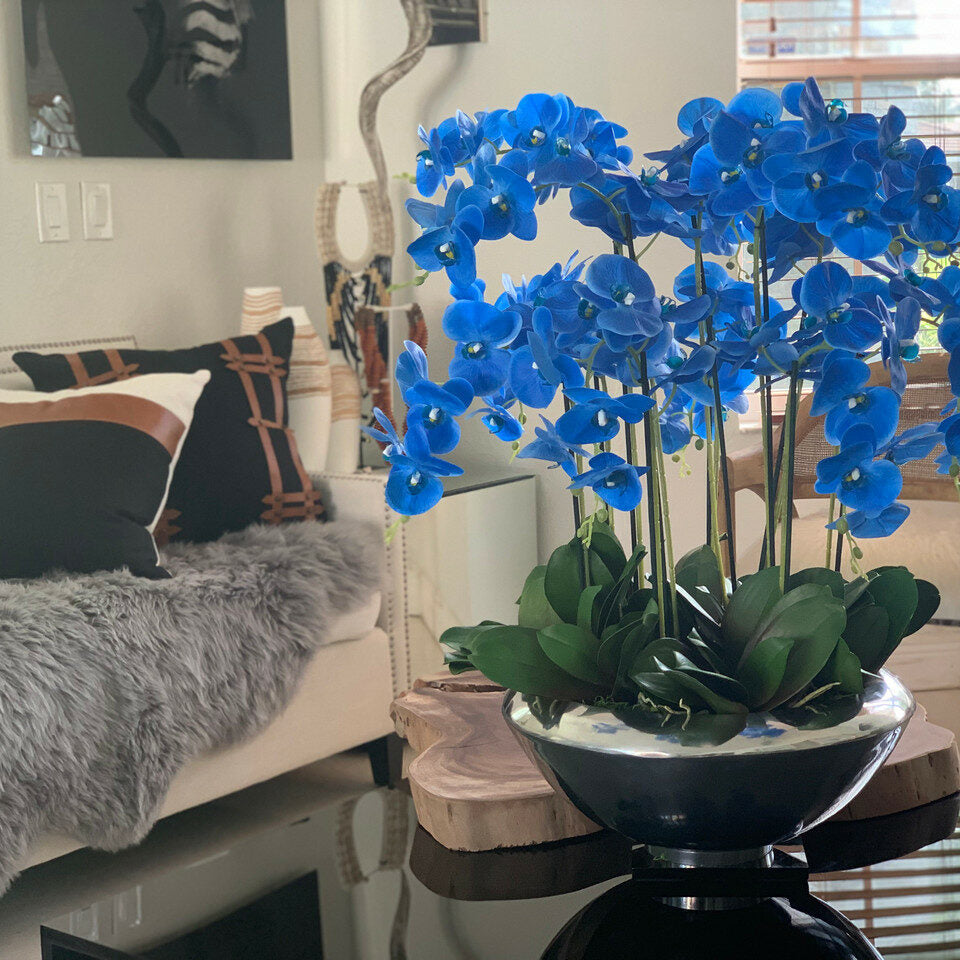 Bol Avenue avec orchidées Phalaenopsis bleues