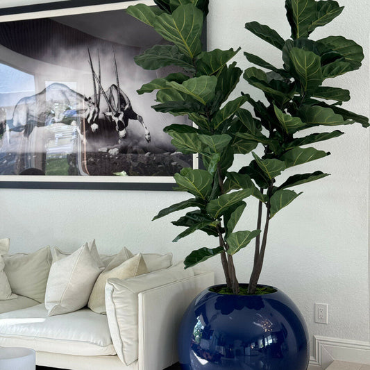 Vase Globe Bleu 76 cm avec Figuier Lyre