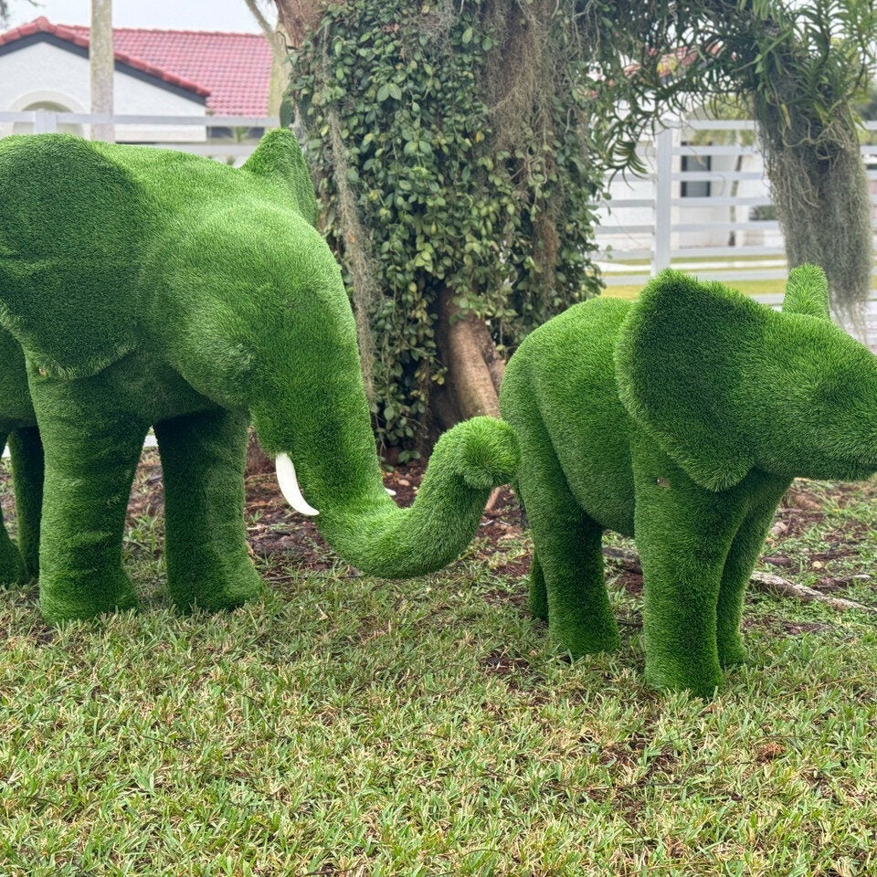 Topiaire éléphant moyen
