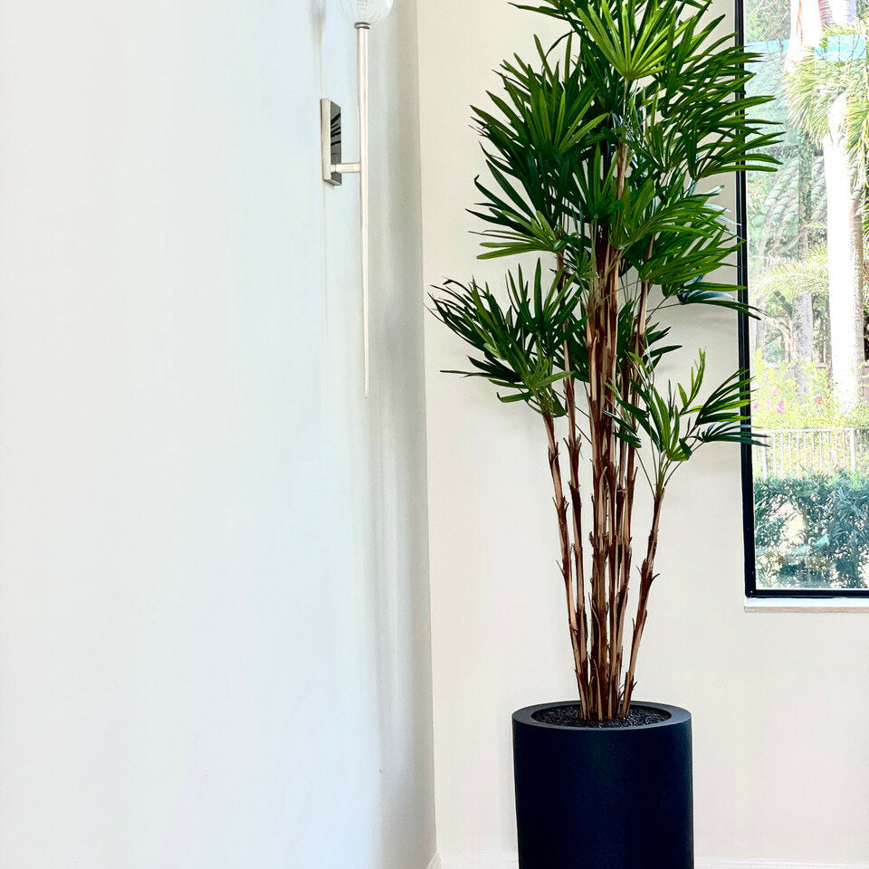 Palmier dans pot noir XL