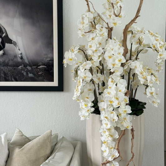 Vase San José beige sable avec orchidées blanches en cascade