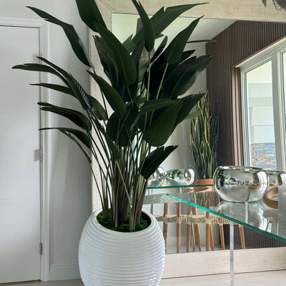 Oiseau de paradis dans vase blanc en spirale