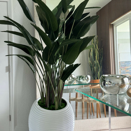 Oiseau de paradis dans vase blanc en spirale