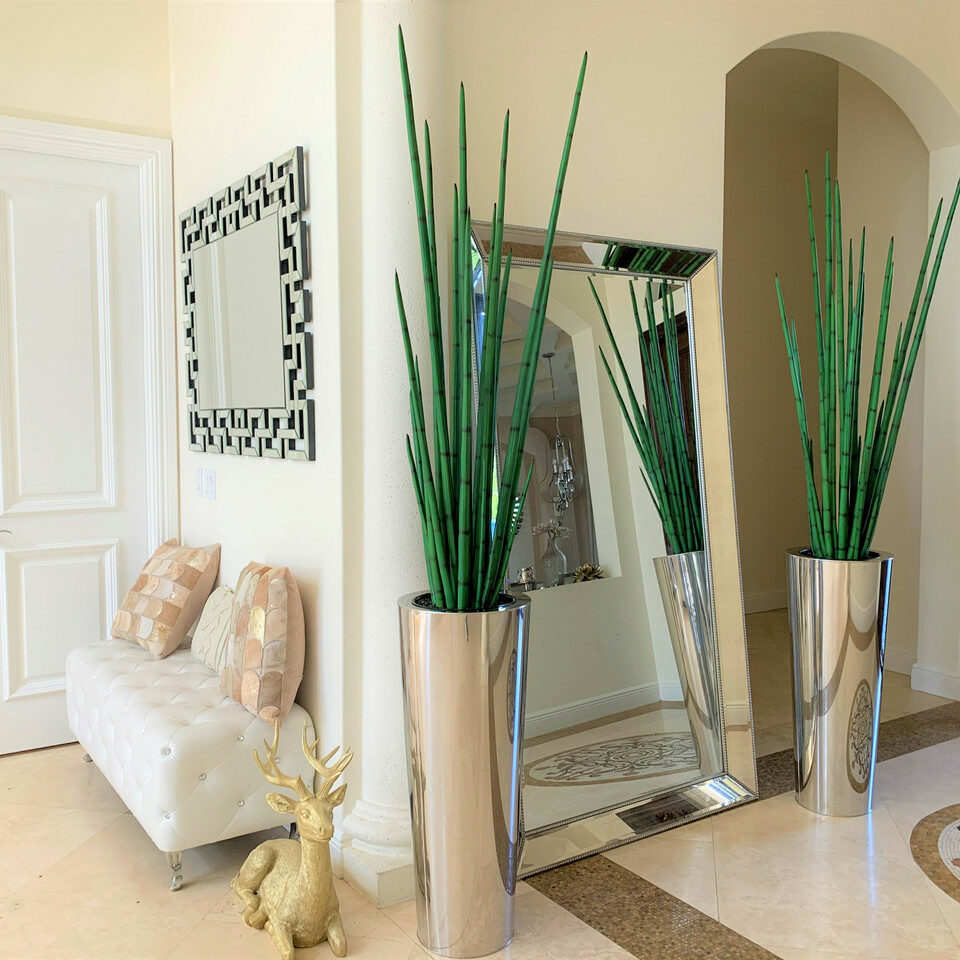 Grand pot en acier inoxydable poli avec grande plante d’herbe serpent