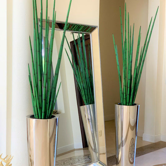 Grand pot en acier inoxydable poli avec grande plante d’herbe serpent