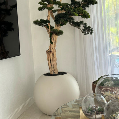 Bonsaï dans globe beige satiné de 76 cm