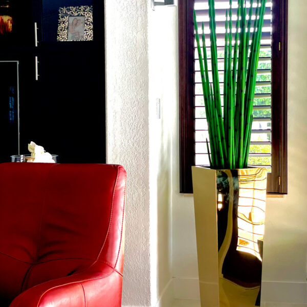 Vase cube doré avec herbe serpent