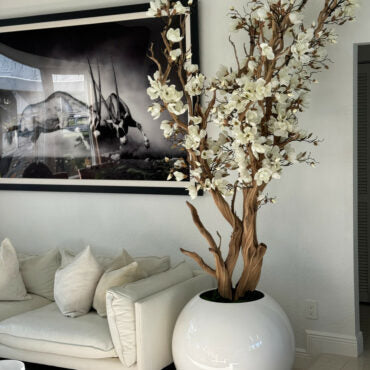 Magnolia blanc dans pot globe blanc brillant de 76 cm