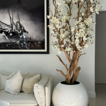 Magnolia blanc dans pot globe blanc brillant de 76 cm