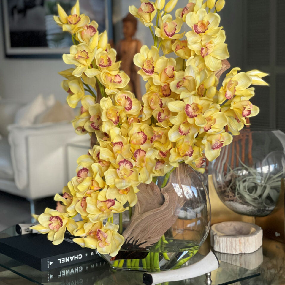 Cymbidiums jaunes dans un vase Lune