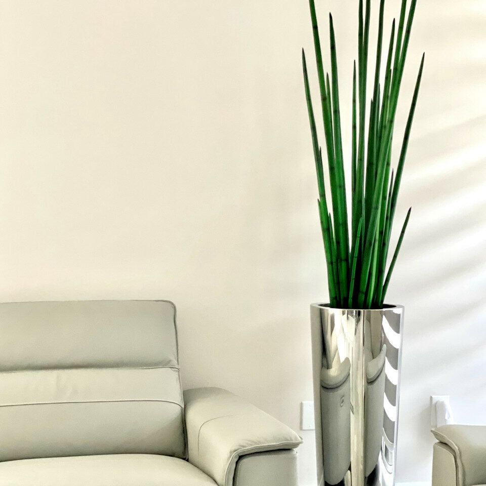 Grand pot en acier inoxydable poli avec grande plante d’herbe serpent