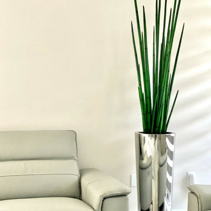 Grand pot en acier inoxydable poli avec grande plante d’herbe serpent