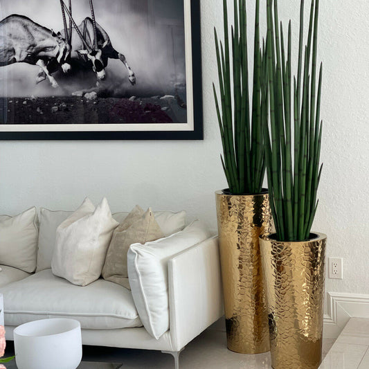 Vase conique en acier inoxydable doré avec grande plante d’herbe serpent