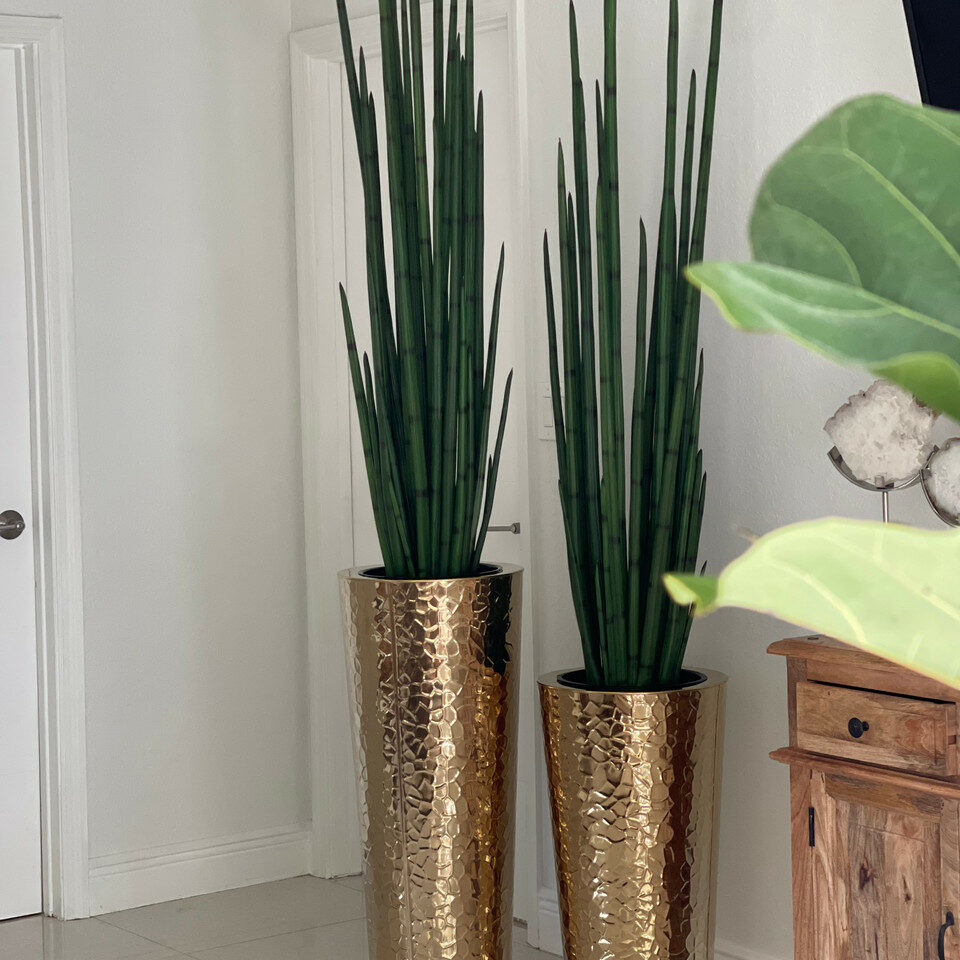 Vase conique en acier inoxydable doré avec grande plante d’herbe serpent