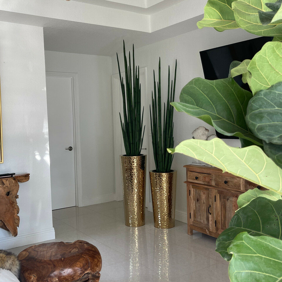 Vase conique en acier inoxydable doré avec grande plante d’herbe serpent