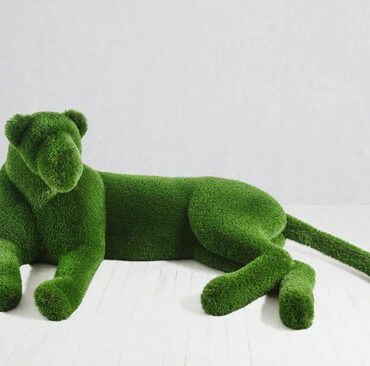 Lionne topiaire