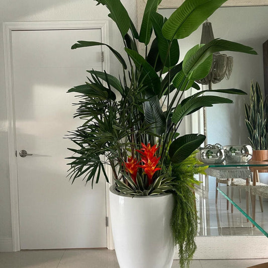 Mélange de Plantes Tropicales dans Pot Brannan Blanc Brillant