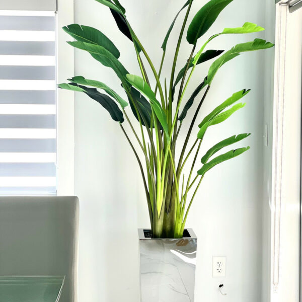 Vase cube moyen en acier inoxydable avec Oiseau de Paradis (2,13 m)